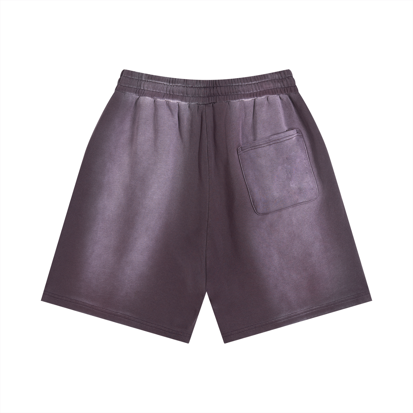 Sun Fade Distressed Paid in Full Shorts